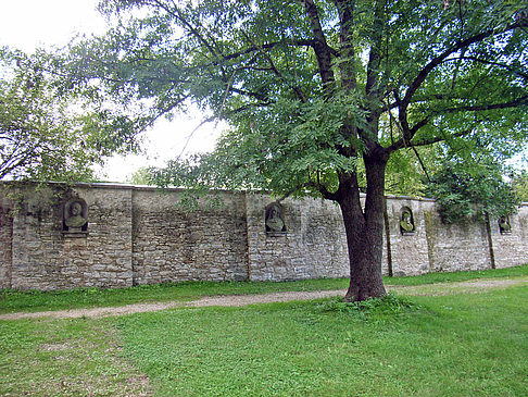 Schlossparkmauer Foto 